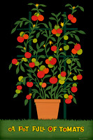 A Pot of Tomats © Landy R. Hales